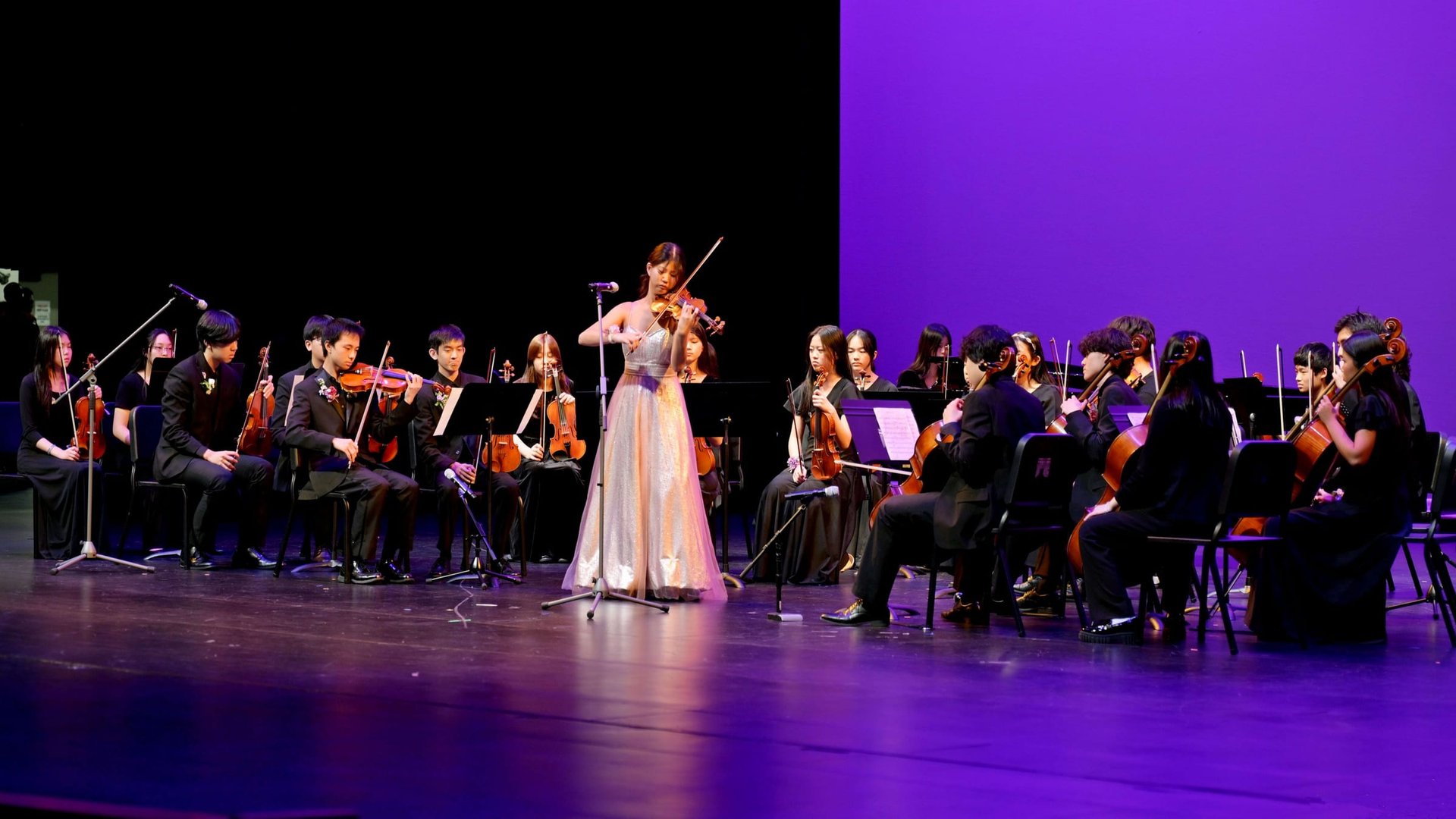 Violin soloist and string ensemble on stage at Music of Love 2026